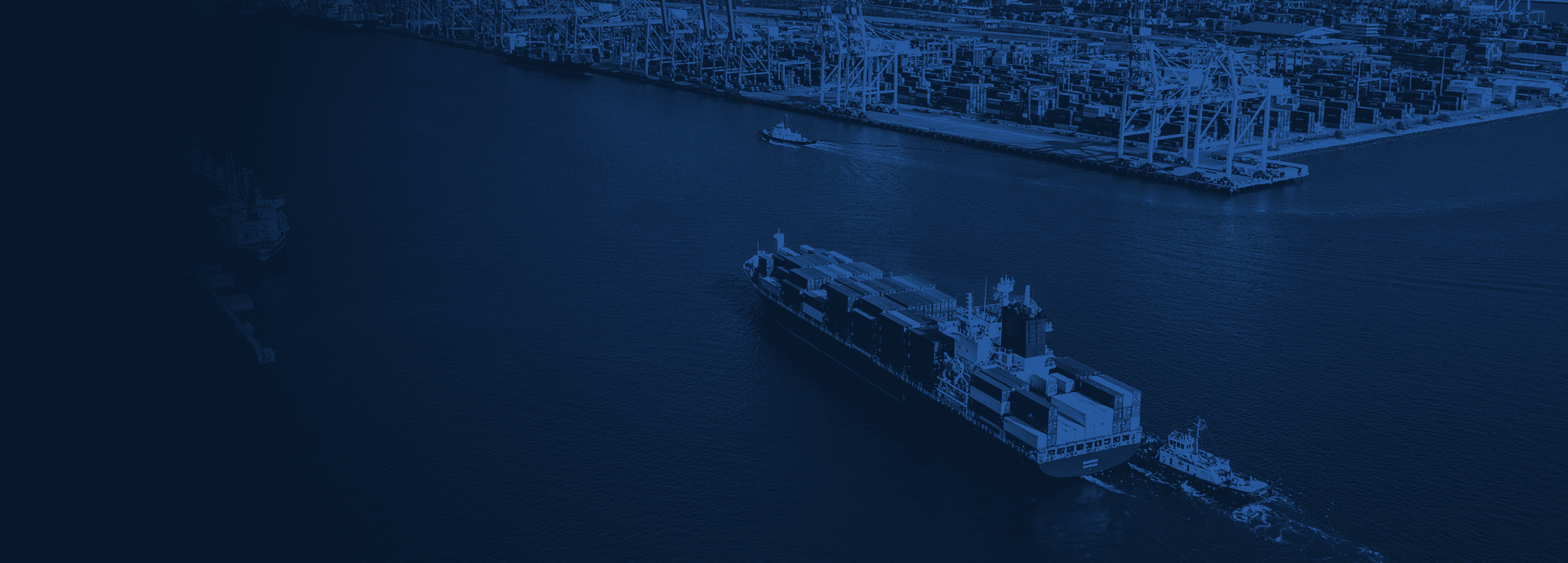 Project Trade Credebt